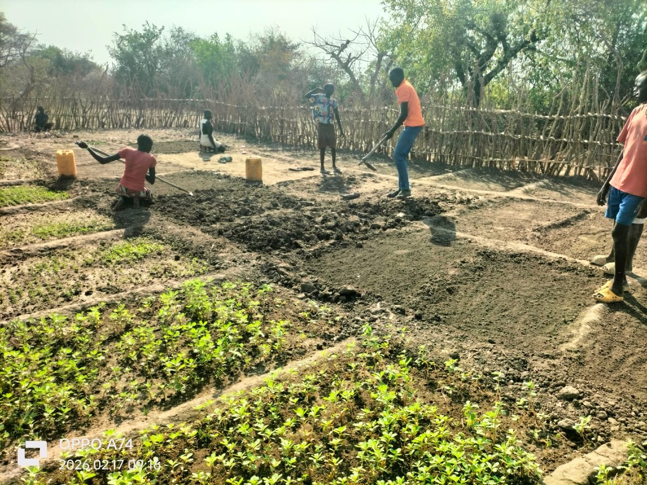 Agroforestry training session for farmers