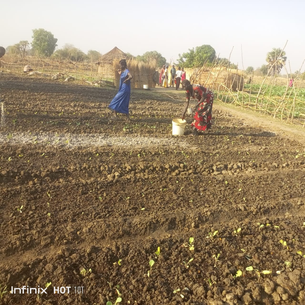 Large community group engaged in sustainable farming