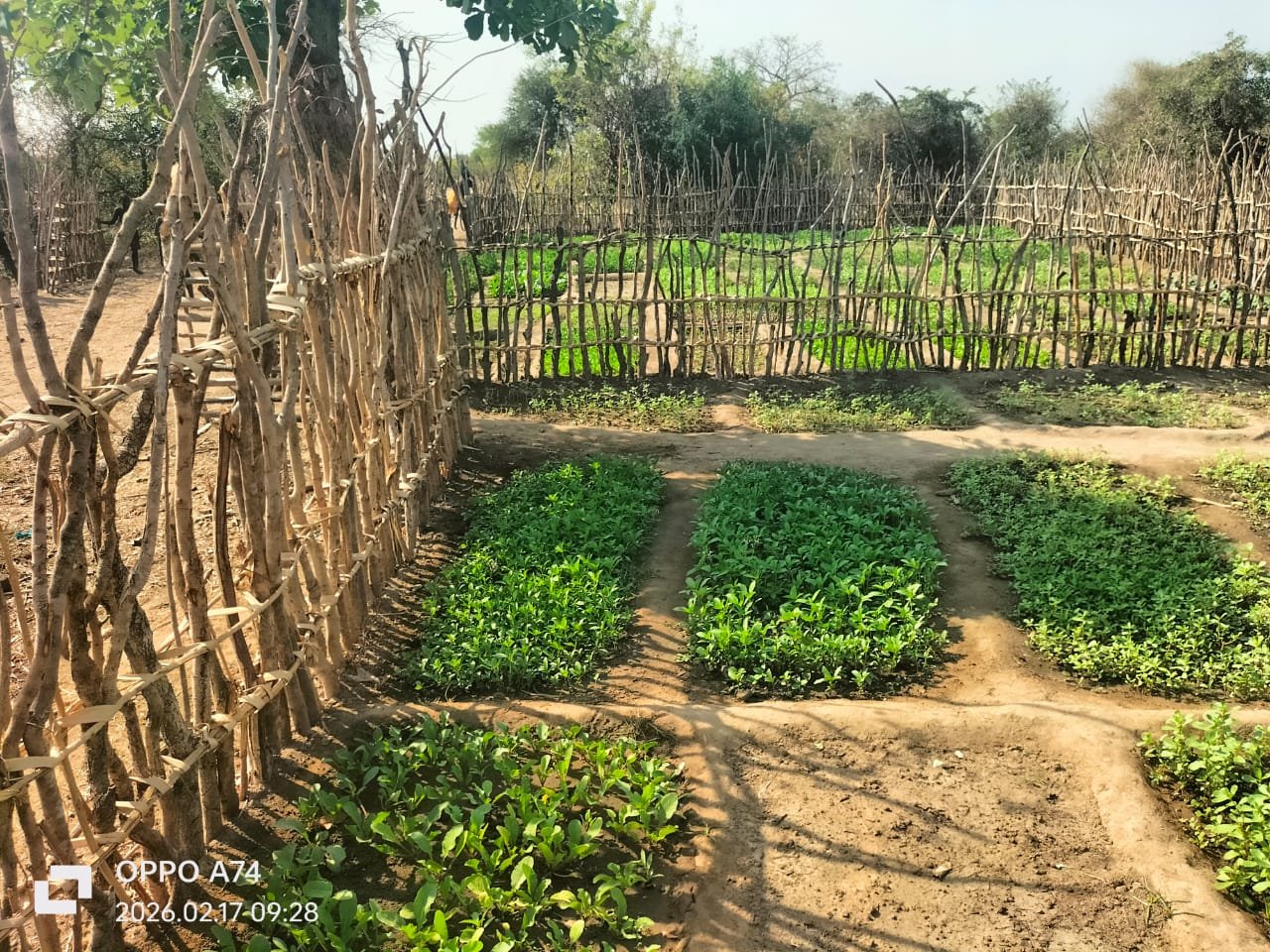 Climate-Smart Agriculture Initiative